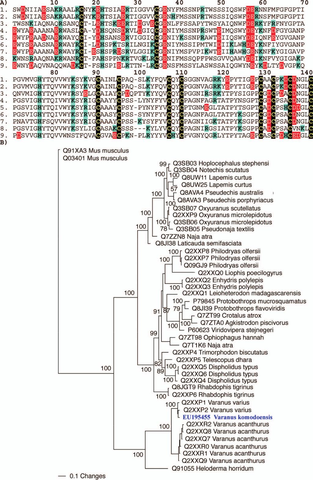Fig. S3. Molecular evolution of Varanus komodoensis AVIT toxins.