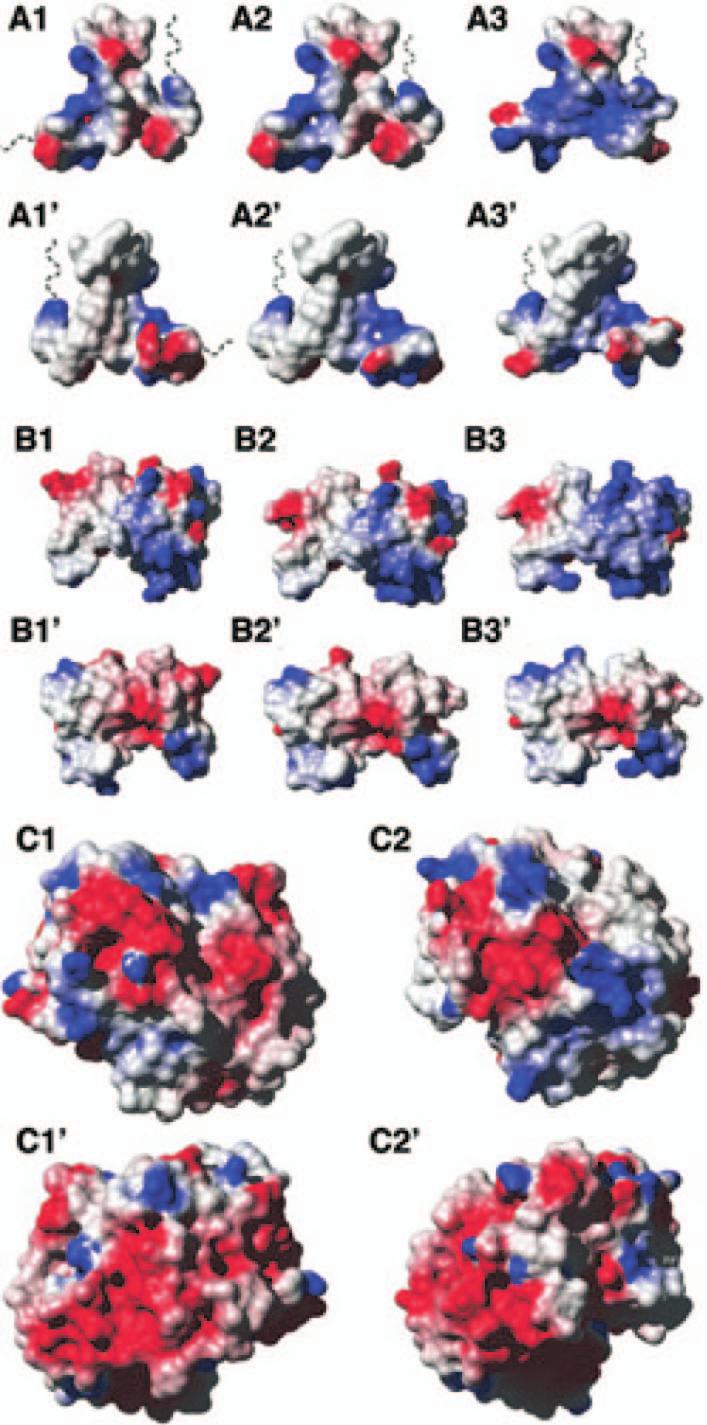 Fig. S7. Molecular modeling of representative reptile venom proteins.