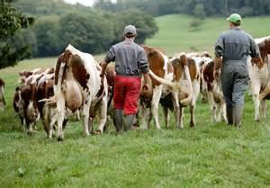 Controls at farm level Farmers obligations Hold a register (audits, analysis, veterinary prescriptions, treatments ) Respect rules on animal identification,