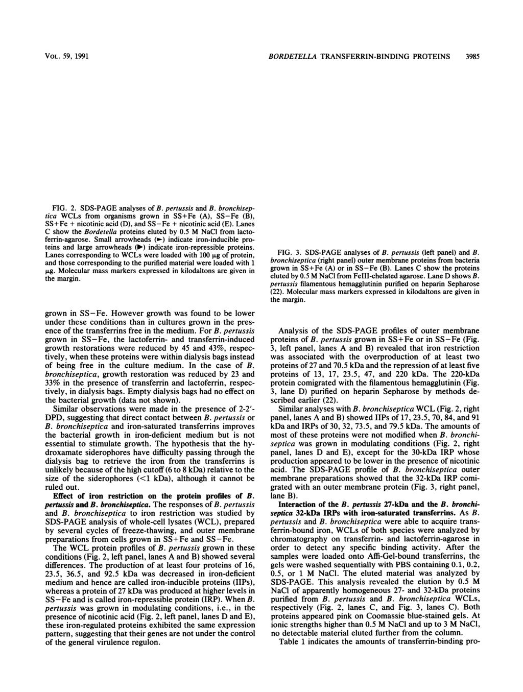 VOL. 59, 1991 BORDETELL TRNSFERRIN-BINDING PROTEINS 3985 B C D E B C D E D B C B C - - _.. _ - 6I ~ _. 31-31- 3" 21.5-21.5- - 31-31- _" B.pertussis B. bronchiseptica FIG. 2. SDS-PGE analyses of B.