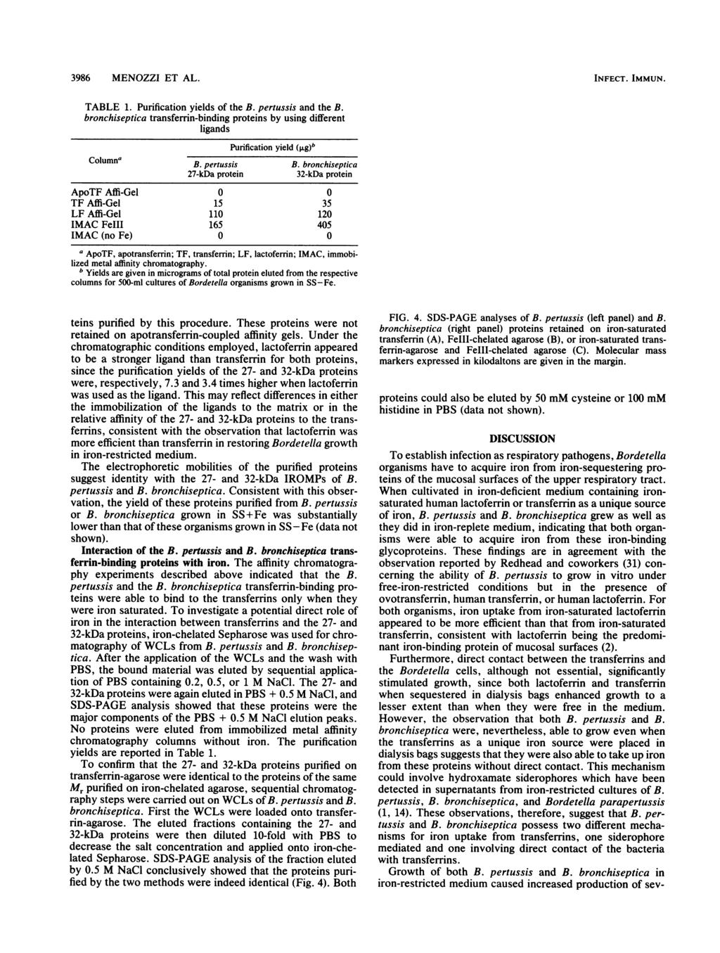3986 MENOZZI ET L. TBLE 1. Purification yields of the B. pertussis and the B. bronchiseptica transferrin-binding proteins by using different ligands Purification yield (jjg)b Columna B. pertussis B.