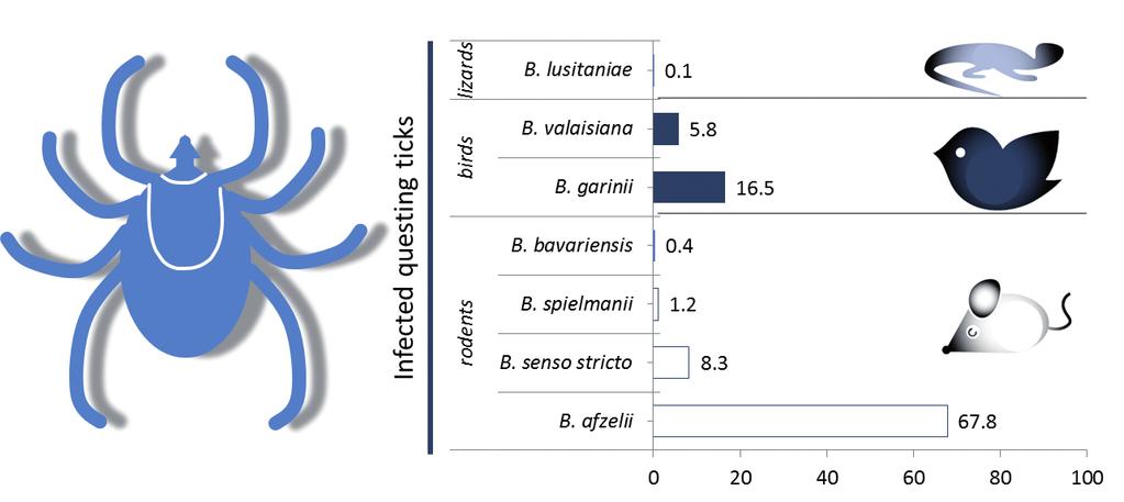 Elena Claudia Coipan and Hein Sprong Figure 1. Prevalence of infection with the various Borrelia burgdorferi s.l. genospecies of questing Ixodes ricinus nymphs. All prevalences add up to 100%.