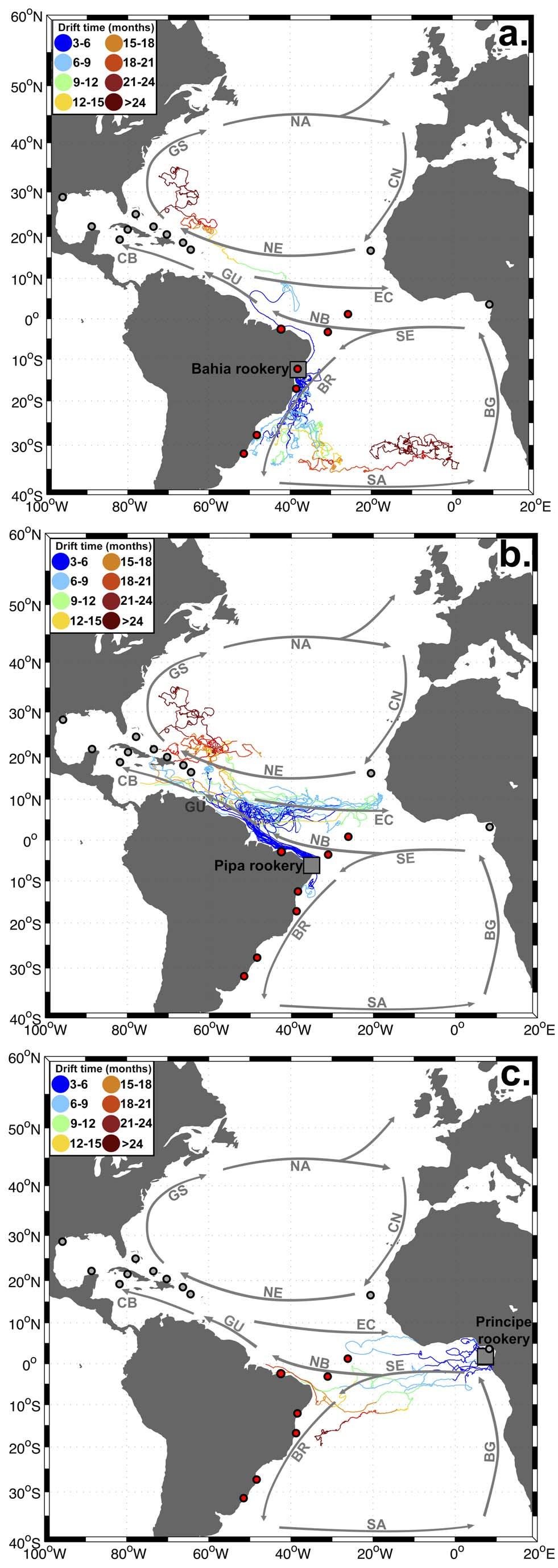 Figure 4. Pathways of drifters passing by Atlantic Ocean rookeries Bahia (a.), Pipa (b.) and Principe (c.). Drifter pathways for the other Atlantic rookeries are shown in Figure S3.