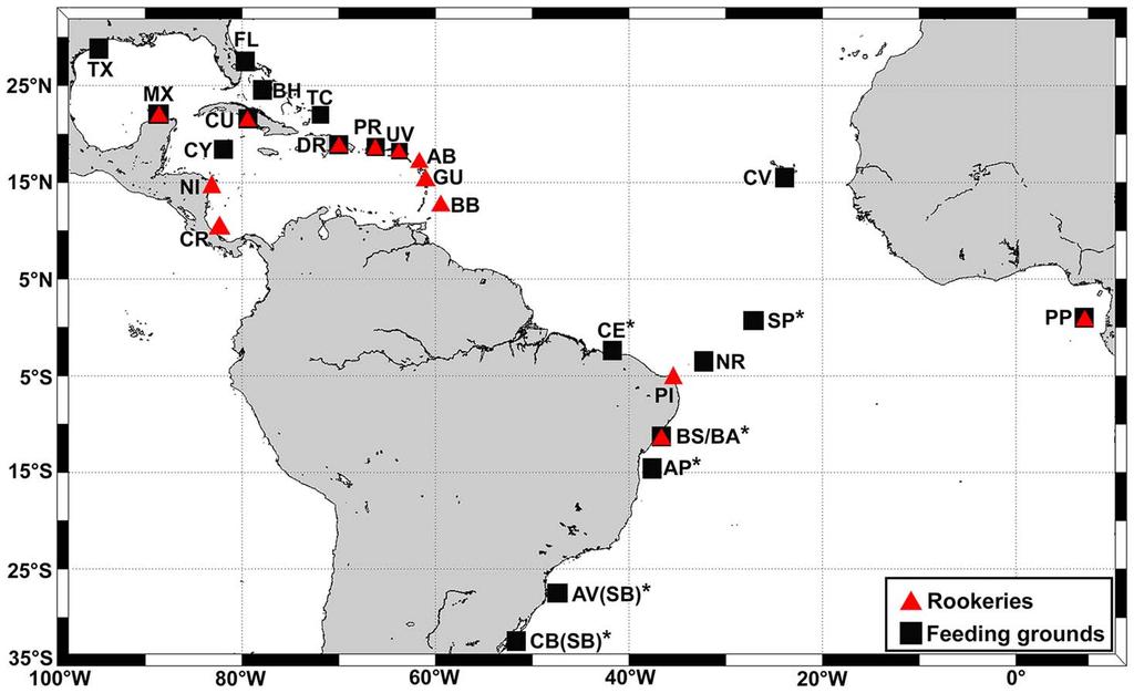 Figure 1. Locations of genetically described hawksbill populations in the Atlantic. Red triangles = rookeries, black squares = feeding grounds, *study areas described in this work.