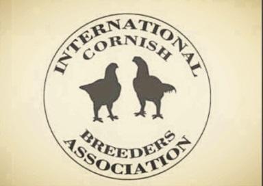 Specialty Club Meets National Meets International Cornish Breeders Association (Eastern National) *Silver platters and cash awards given by the ICBA for the National meet District Meets American