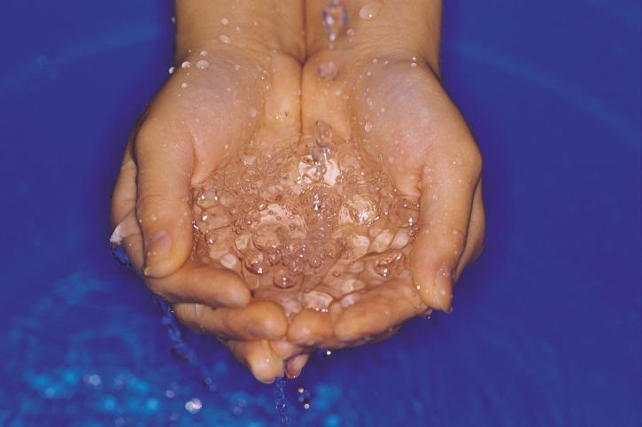 Adventures in Handwashing A review of studies on handwashing, foodborne