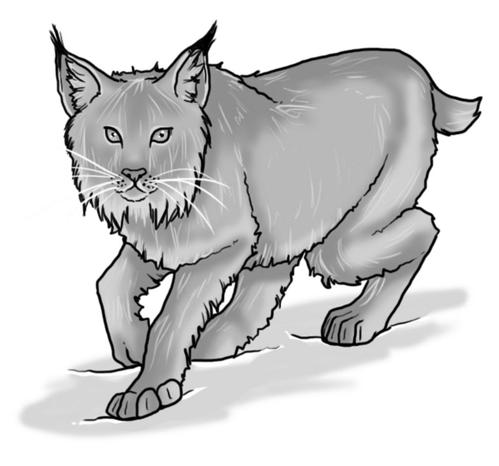 LONGHAIR NEAR-EASTERN CAT CR 1/4 N Tiny animal AC 14, touch 14, flat-footed 12 (+2 Dex, +2 Melee 2 claws +4 (1d2 4), bite +4 (1d3 4) Str 3, Dex 15, Con 8, Int 2, Wis 12, Cha 11 Base Atk +0; CMB +0;