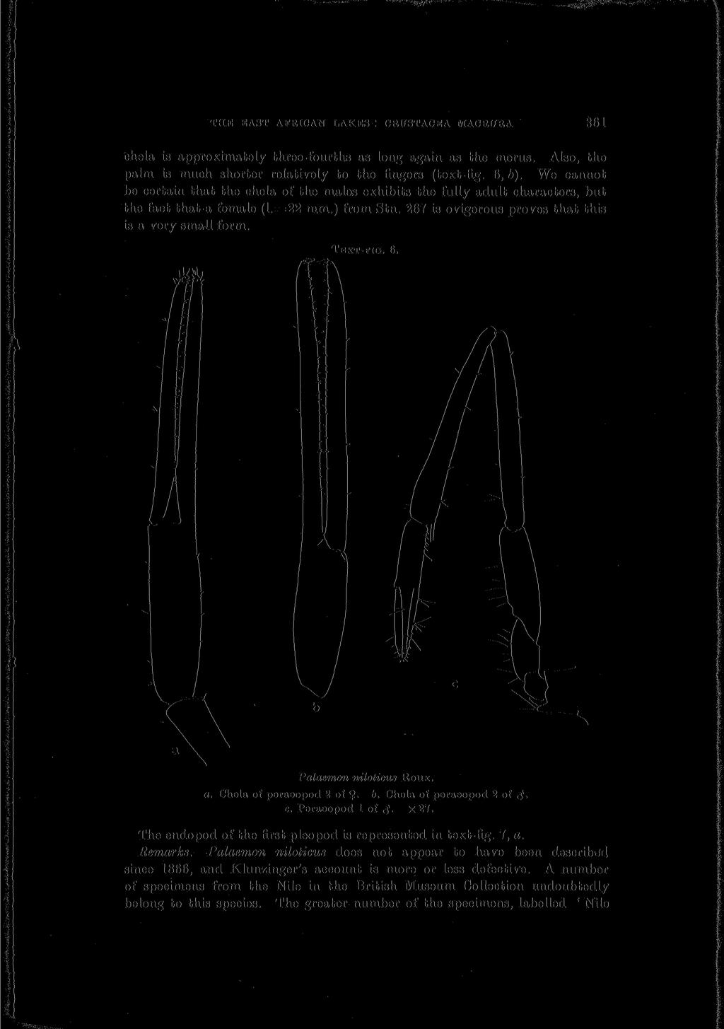 THE EAST AFRICAN LAKES r CRUSTACEA MACRT7RA 361 chela is approximately three-fourths as long again as the merus. Also, the palm is much shorter relatively to the fingers (text-fig. 6, 6).
