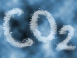 Carbondioxide(used in the growth of the microorganisms) Freezing (stops