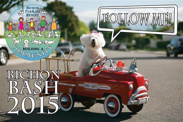 org/bash2015springhome Or send a check to the following address, but hurry so that we get it in time to get you registered: Bichon FurKids 6965 El Camino Real Suite 105-425 Carlsbad, CA 92009