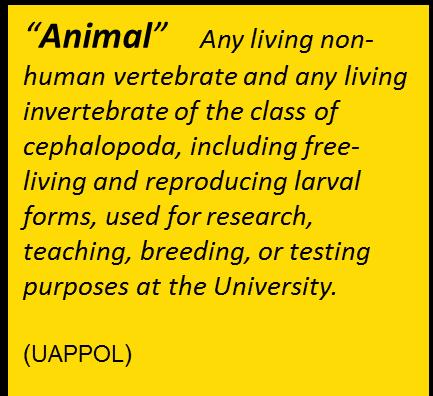 The use of animals for research, teaching and testing is a privilege, one that comes with important responsibilities: to ensure that good science is done; to meet our ethical