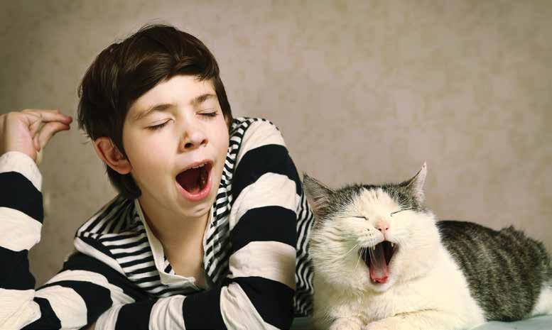 Do cats and people feel the same emotions? what if cats could smile? Cat emotions are often harder for people to understand than dog emotions.