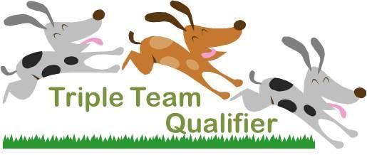 Triple Team Qualifier Rules Team relay open to small, medium and large dogs, KC Grades 1-7. Standard KC rules and marking apply. Elimination = 100f.