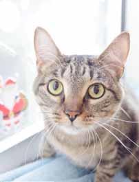 I have been told that I have the biggest and most beautiful eyes, the better to see you with, my dear...so please come see me! You re looking for a love-bug? Come meet me!