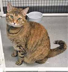 I'm a little shy, but I m most definitely a very loving and sweet girl. I know I'd be a great addition to your family. I had it made. I had a home and a family. It was great.