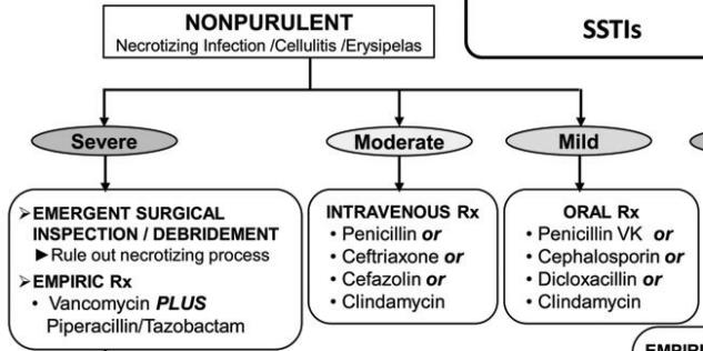 What is the most appropriate initial therapy? A. Cefazolin B. Vancomycin C. Vancomycin + piperacillin-tazobactam D.