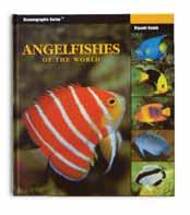 It holds many surprises and spectacular photographs. 680 pages, hardcover. Angelfishes of the World by Kiyoshi Endoh.