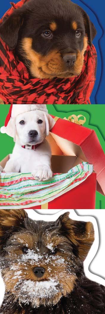 MEDIA LAB BOOKS SEPTEMBER 2017 Winter Puppies Chunky Book Set These chunky, winter and holiday-themed books make perfect stocking stuffers and winter gifts for any young puppy lover.