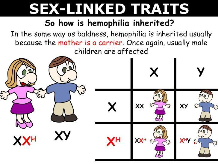 Sex-linked Traits The allele is written with both