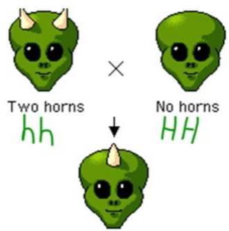 Incomplete dominance practice problem In goblins, the number of horns shows incomplete dominance.
