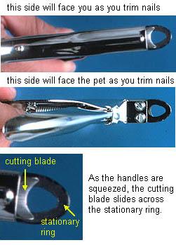 The guillotine type trimmers have stationary ring through which the nail is placed, and a