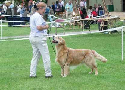 taking place all year round at both indoor and outdoor venues. There are various levels of competition from the very informal village fun show to the prestigious Crufts event.