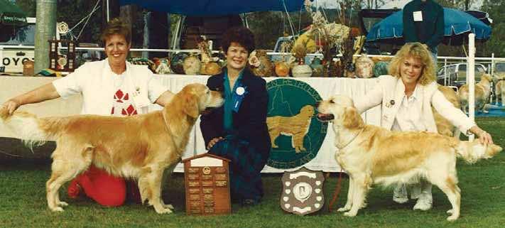 SECTION 1: THE GOLDEN RETRIEVER IN THE SHOW RING others. Aside from differing classes and differing requirements to earn a Champion title, overall they aren t terribly different.