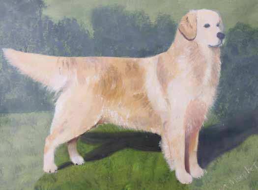 SECTION 1: THE GOLDEN RETRIEVER IN THE SHOW RING Golder Retriever Body Terminology Figure 1.6. Painting by M Morphet.