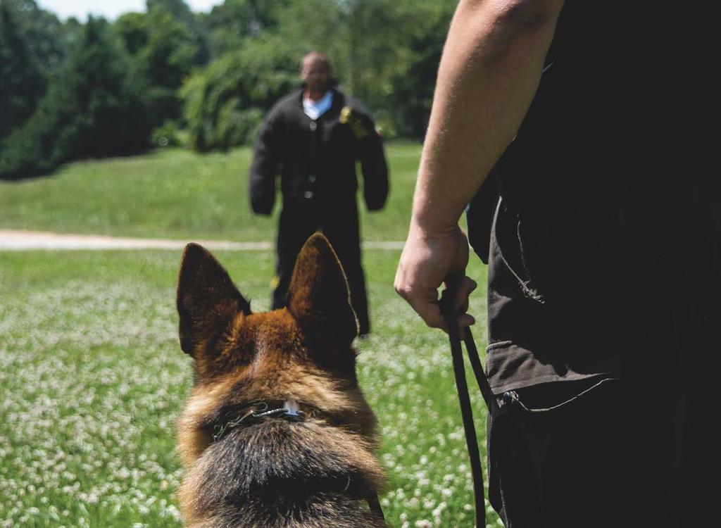 What Makes a Great K9 Handler?