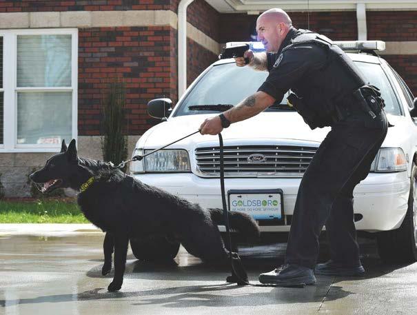 Additionally, handlers must engage the public with their dog, which at times can be intimidating for everyone involved in the encounter.