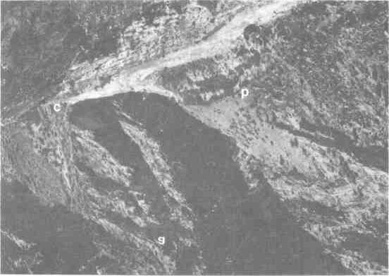 FIGURE 5. Major stream confluence In the Langu valley showing local topographic features strongly preferred by snow leopards for marking (a. major ridge line; b. terrace/bluff edge; c.