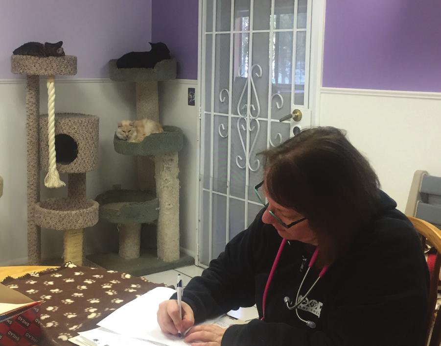 Following overwhelming approval of the North County Humane Society s membership on November 29, 2016 the two organizations completed the legal requirements to merge.