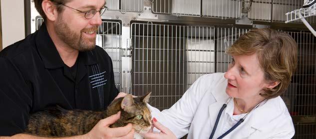 INTRODUCTION This booklet has been prepared by the Australasian Veterinary Boards Council Inc for the information and guidance of overseas-trained veterinarians who are resident in Australia and for