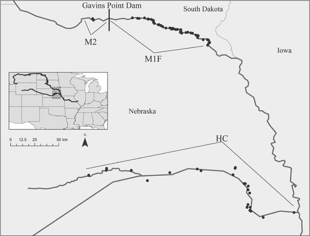 Catlin et al. Movement Ecology (2016) 4:6 Page 4 of 15 Loup River Platte River Fig. 1 Map of the subpopulations on the lower Platte and Missouri rivers.