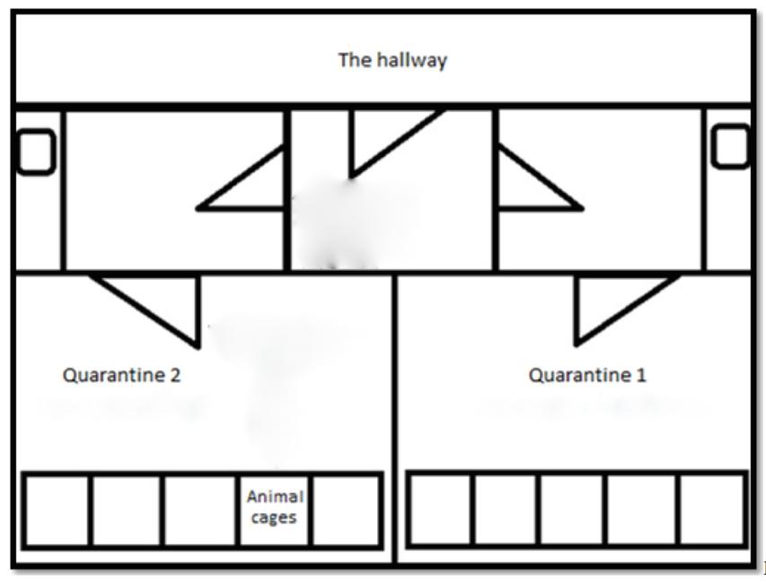 Figure 1: Kitchen 2 Small hallway Kitchen 1 Figure1; sketch of the layout of the quarantine All animal cages within the quarantine were arranged in the same order as seen in photographs 1 and 2 and