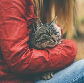 Bringing your pet to CPC If you do not wish to leave your companion in the care of your vet for us to collect and bring to the crematorium, you are most welcome to bring your companion yourself.