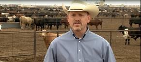 Sustainability/Feedyard Video Antibiotic Concerned (-12%) High level content that features the experts involved in the process have a strong halo impact on to many topics Shifts in very/extremely