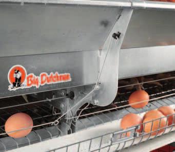 EggSaver for safe rolling of the eggs onto the longitudinal egg belt Lowered EggSaver slows down the eggs Big Dutchman s EggSaver slows down the eggs when they roll from the nest onto the