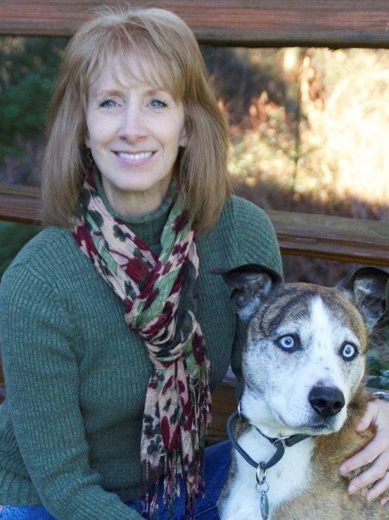 FROM THE EXECUTIVE DIRECTOR 2015 in Reflection As one of Washington State s leading no-kill animal shelters, Homeward Pet Adoption Center s mission is to give homeless animals a second chance through