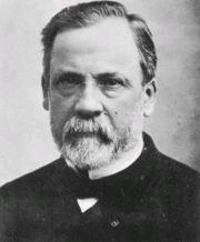 Prelude to Antibiotics: Pasteur, Koch & The Germ Theory of Disease Koch s Postulates: (1890) To establish that a microorganism is the cause of a disease, it must be: 1) found in all cases of
