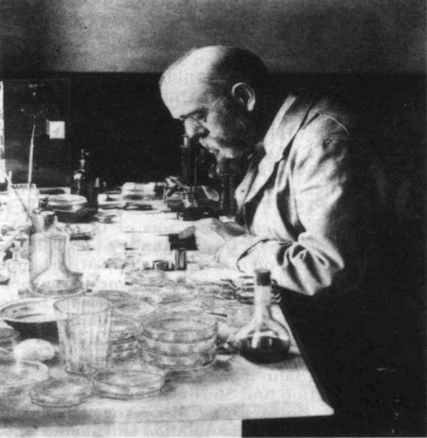 Robert Koch (Berlin, 1843-1910) Discovered Bacillus anthracis, Mycobacterium tuberculosis, Vibrio cholerae and developed Koch s Postulates".