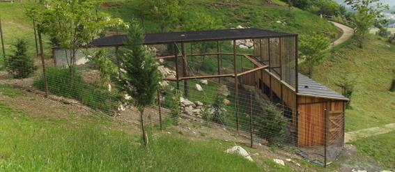 6/13 Parc Animalier des Pyrénées has built a completely new Bearded Vulture aviary.