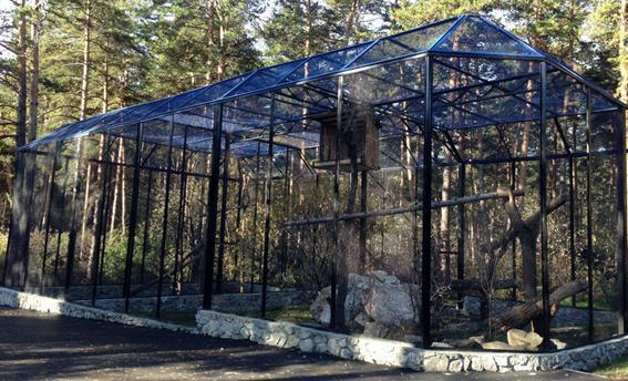 7/13 The Novosibirsk Zoo reconstructed an aviary, adapting it for its Bearded Vulture. During 2013 we lost 7 birds (4 males and 3 females).