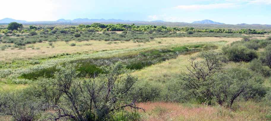 part of a comprehensive, long-term effort in southeastern Arizona s Cienega Watershed (Empire-Sonoita valley) to protect existing Chiricahua Leopard Frog populations and other threatened animals from
