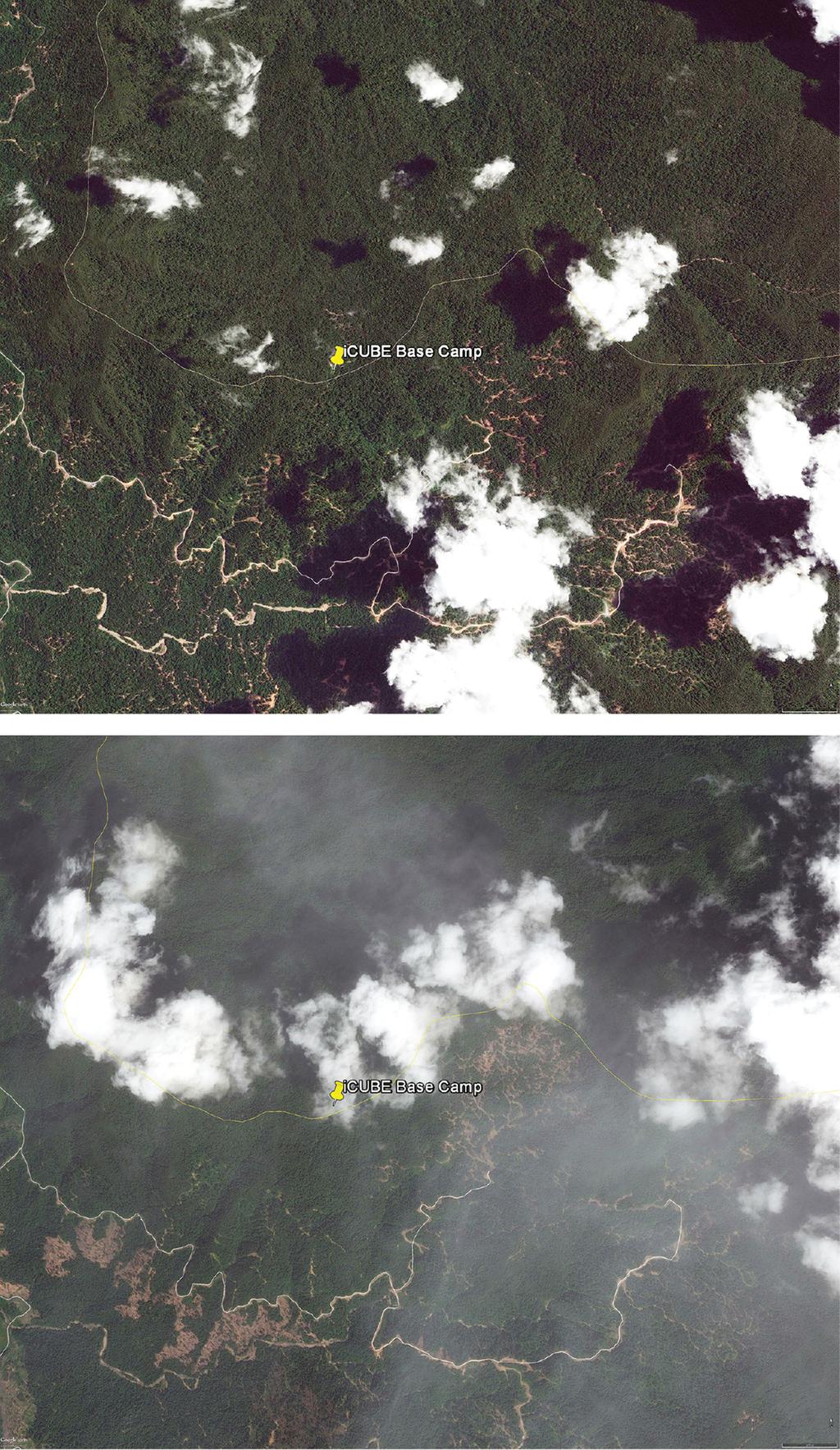 110 Bulletin of the Peabody Museum of Natural History 57(1) April 2016 FIGURE 5. Satellite images from 2012 (above) and 2013 (below) of the border of Brunei Darussalam and Sarawak.