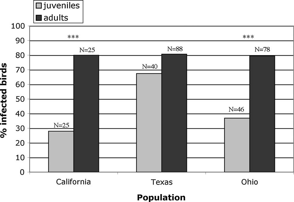 240 Genetica (2014) 142:235 249 Table 1 Avian malaria prevalence in the lark sparrow estimated by population (identified by state abbreviations: CA, NE, TX, IL, OH) and by age class (after