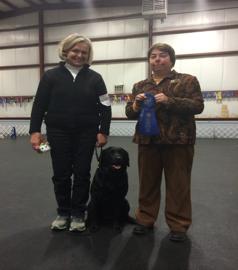 Shoreline Cedarwood Kathryn at Tory Hill CD, JH, RN, CGC received her Companion Dog Title at the Charles River Dog Training Club s Obedience Trial on March 19 th at Masterpeace Dog Training Center in