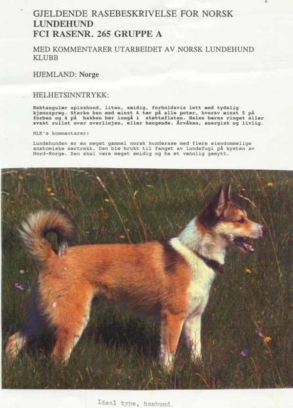 Breed Standards Norsk Lundehund Klubb established 1 st standard Recognized in FCI Group 5, Section 2 Current revision dated December