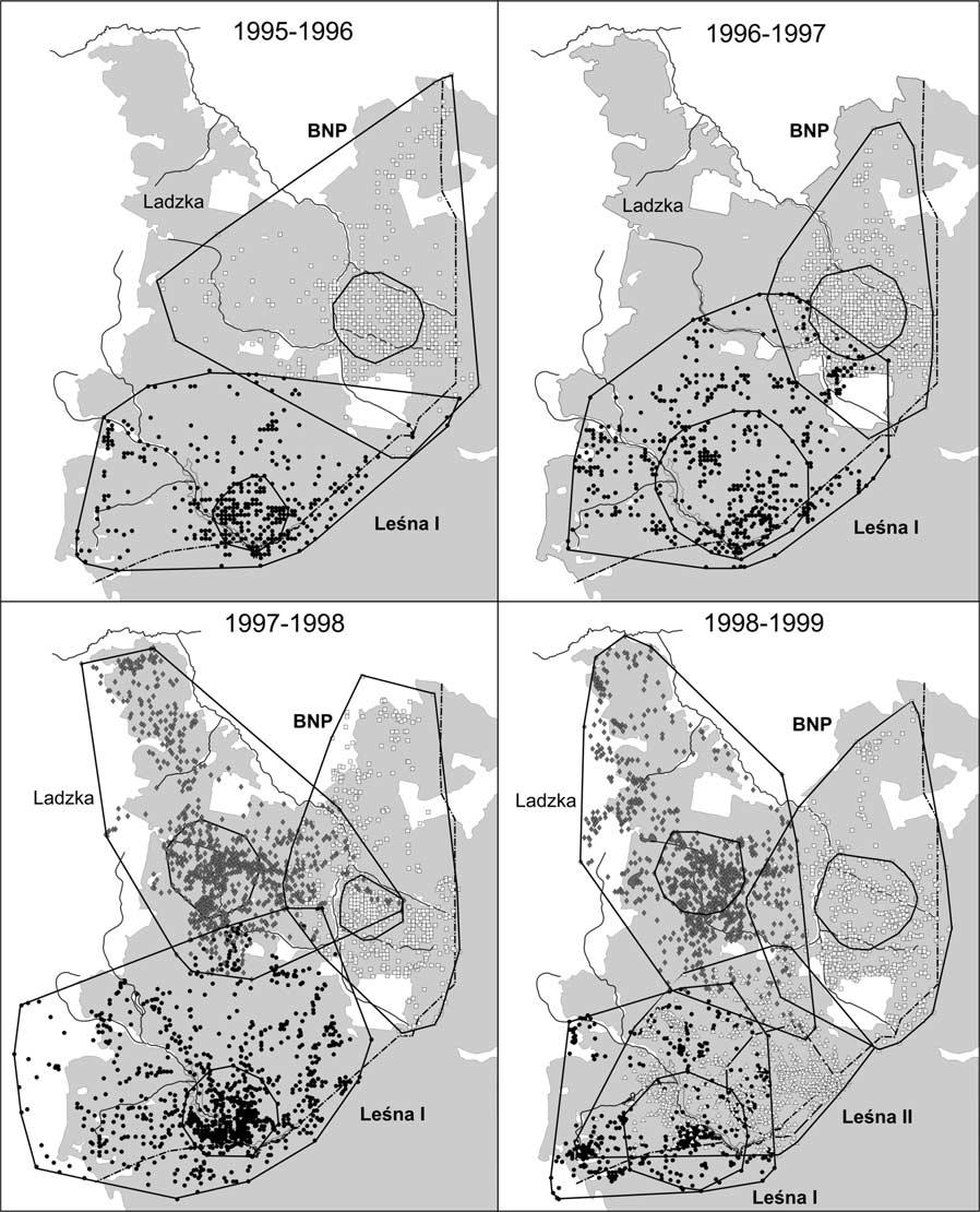 Territories of wolf packs variation in size and spatial structure We analyzed 11 annual territories of 4 packs inhabiting BPF in 19951999 (Fig. 1, Table 2).