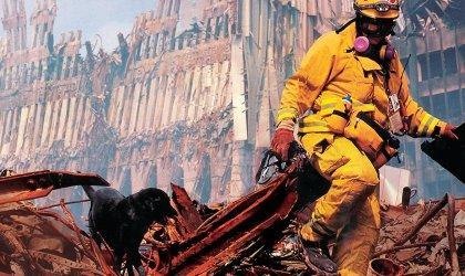 Canine Courage By Laura McClure Why have 9/11 rescue dogs fared better than human workers?